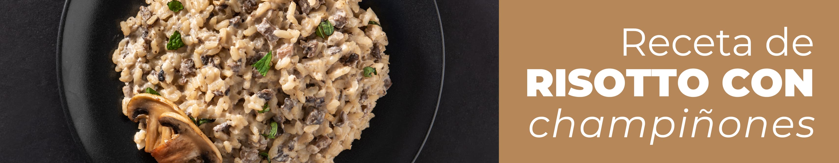 Plato hondo con risotto de champiñones terminado, textura muy melosa y queso parmesano espolvoreado por encima