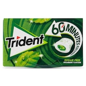 Chicles sabor hierbabuena 60 minutos sin azúcar Trident 22 g