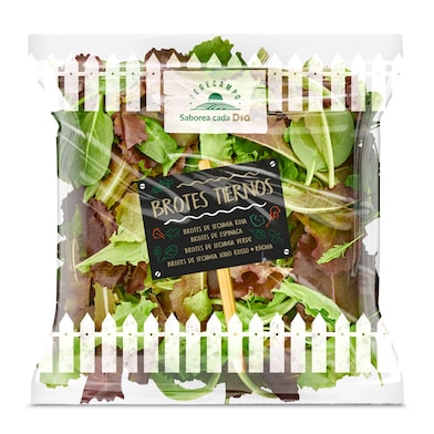 Brotes tiernos Dia Vegecampo 70 g-0