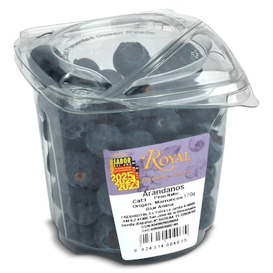 Arándanos 170 g-0