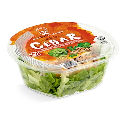 Ensalada César Dia Al Punto 210 g-0