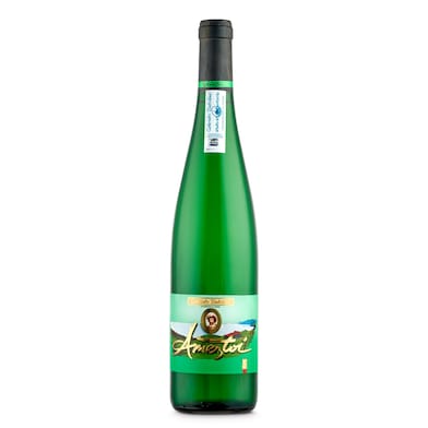 Vino blanco Txakoli Ameztoi 75 cl-0