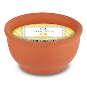 Vela citronela en maceta Dia Imaqe 1 unidad