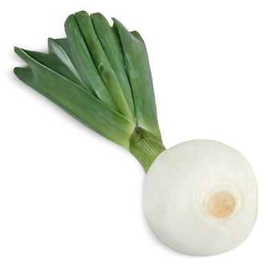Cebolla tierna unidad-0