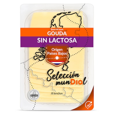 Queso gouda sin lactosa Dia Selección Mundial 160 g-0