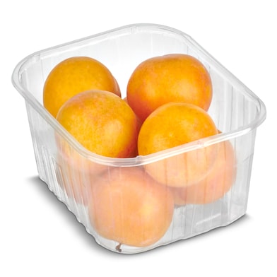 Ciruela rose bandeja 500 g-0 Ciruela rose bandeja 500 g-0