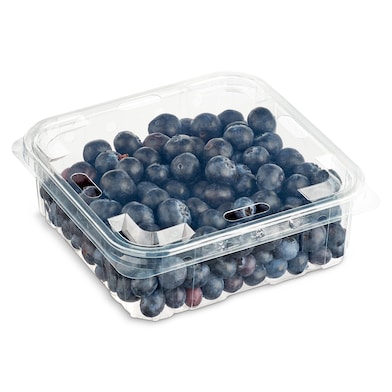 Arándanos 450 g-0