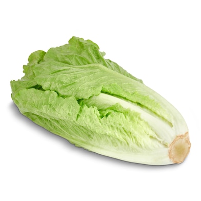 Corazón de lechuga romana unidad-0